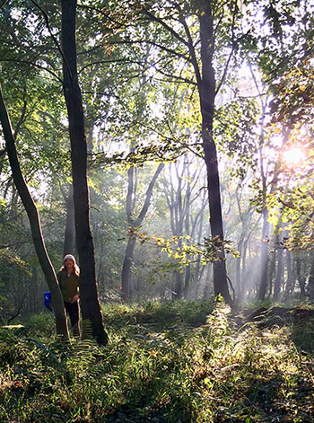 an image of the study site