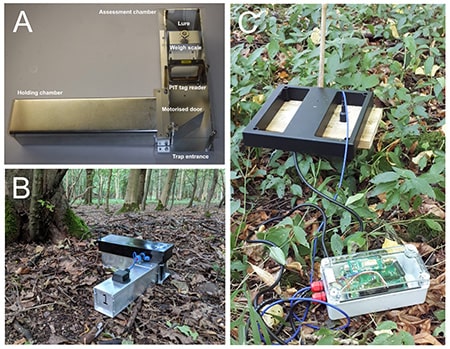 New technology for wildlife monitoring