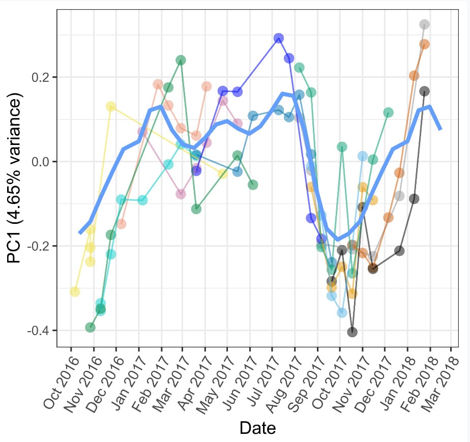 Drivers of microbiome variation